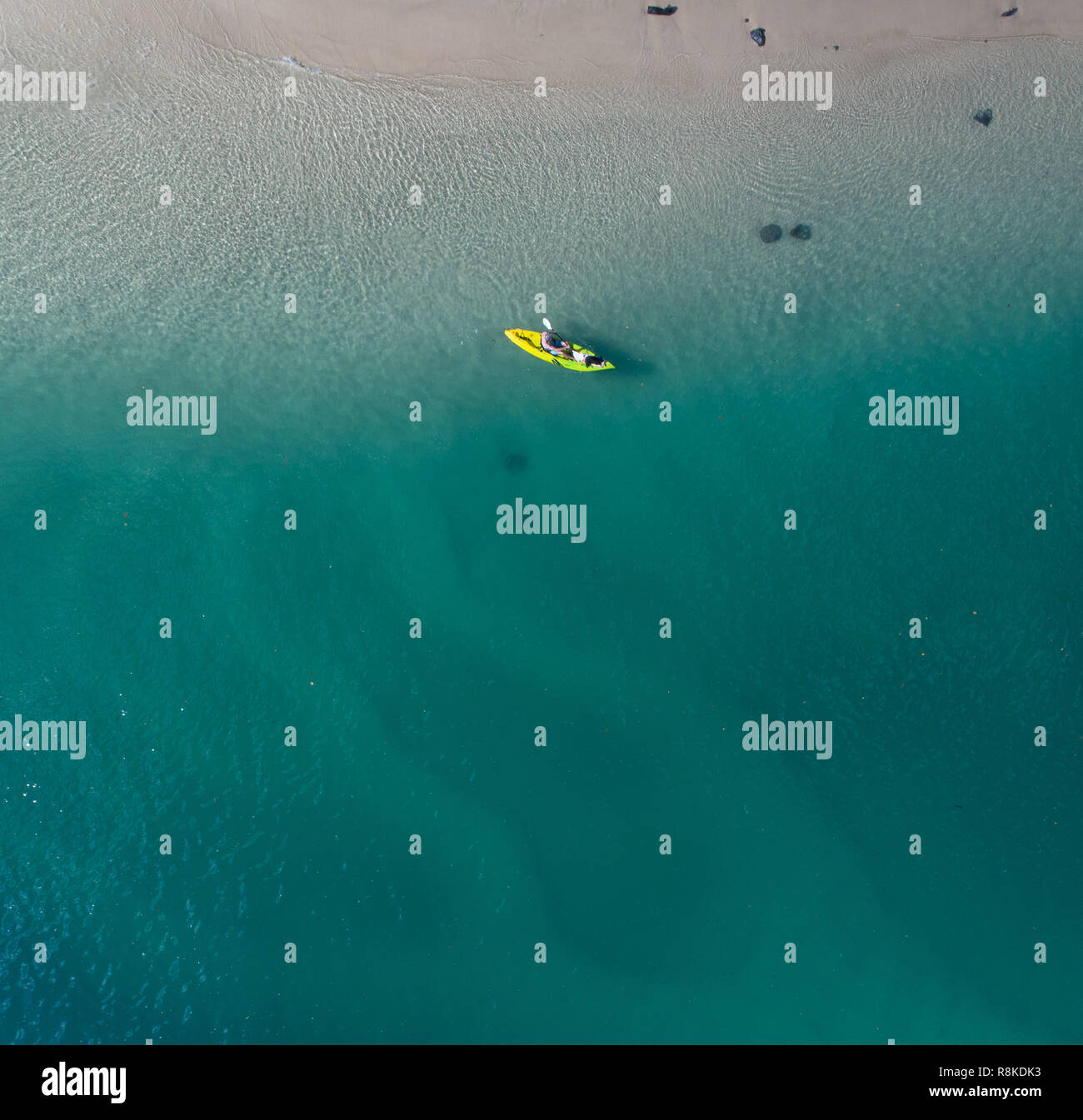 Man kayaking in a blue ocean near a tropical beach perfect for fitness, fun, fishing and holidays. Aerial shot at sunrise. Stock Photo