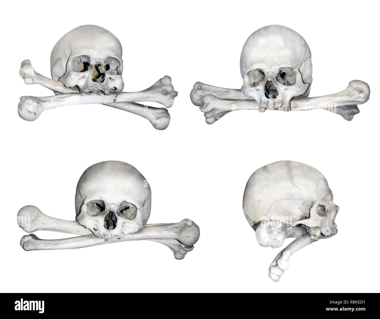 Human skulls and bones. Isolated over white Stock Photo