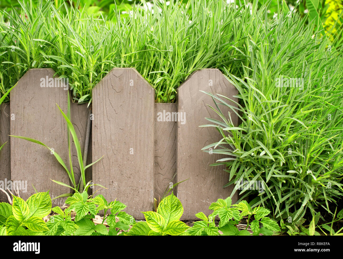 Summer background with old wooden fence and green grass Stock Photo - Alamy