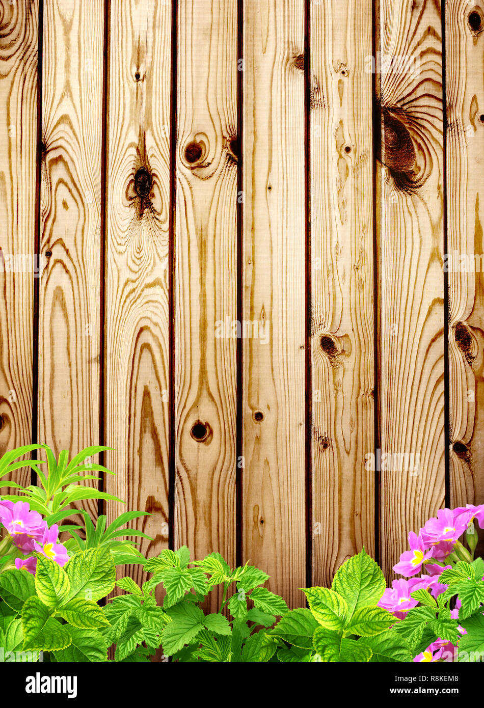 Summer background with old wooden fence, flower and green leaves Stock ...