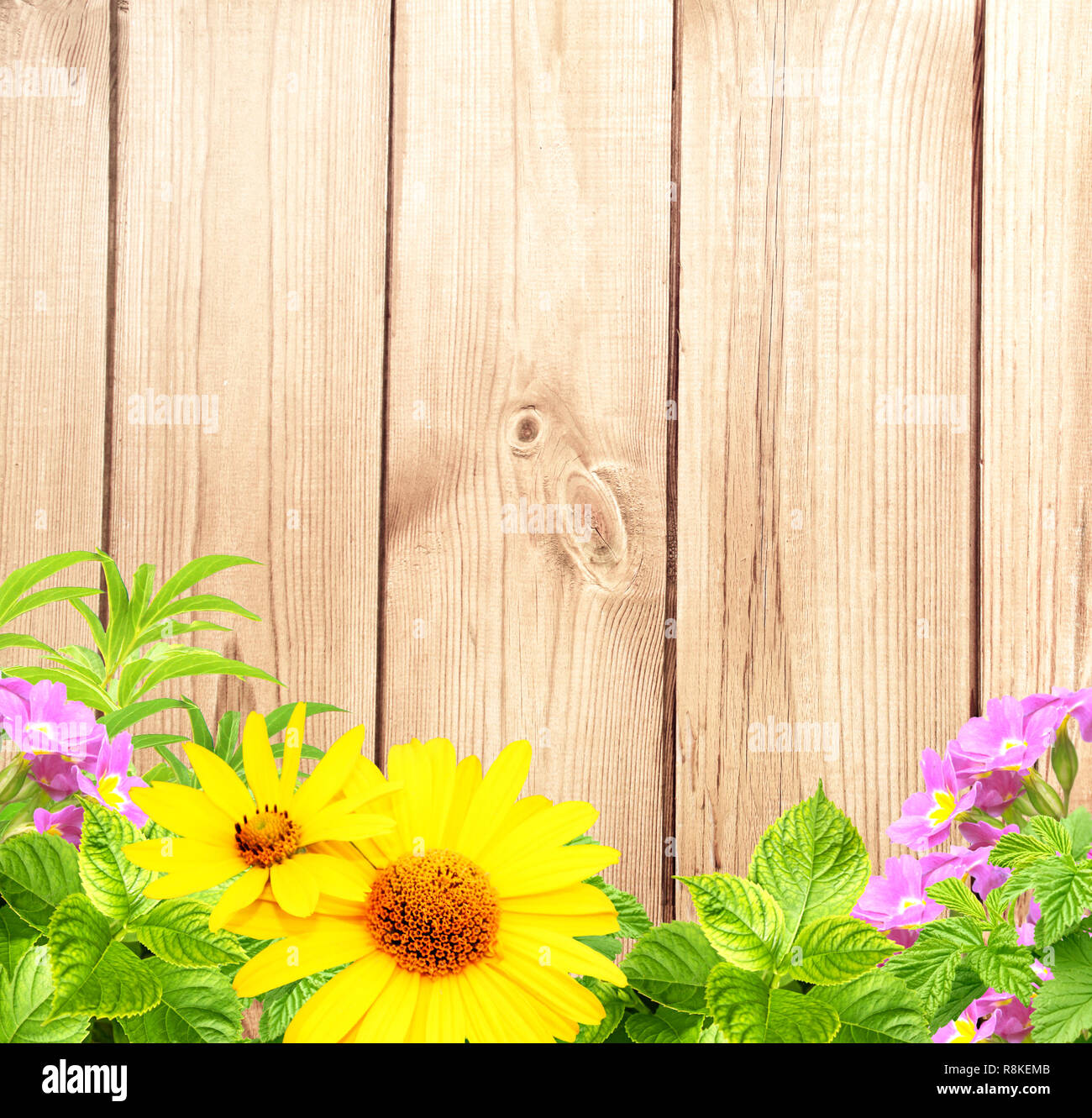 Summer background with old wooden fence, flower and green leaves Stock ...