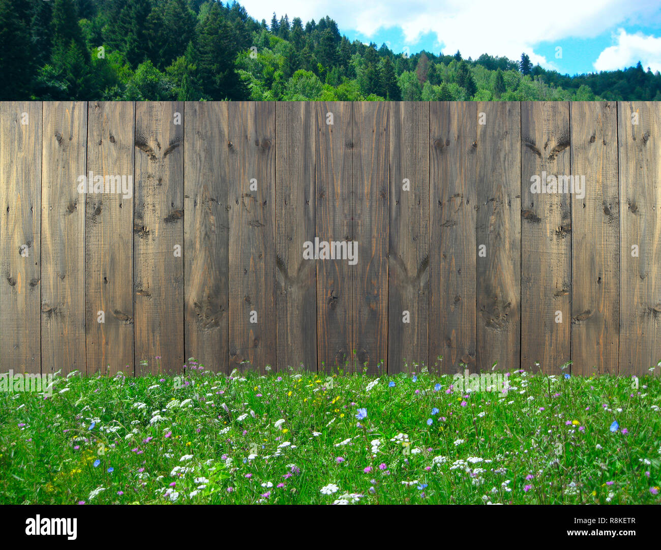 Wooden fence standing on summer lawn with flowers. Fence made from dark boards on grass. Summer meadow along rural fence Stock Photo