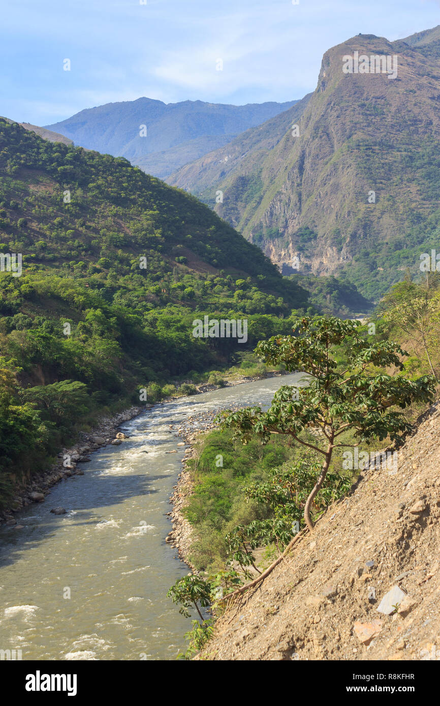 panoramic view over the lush rainforest on the inca trail, peru Stock ...