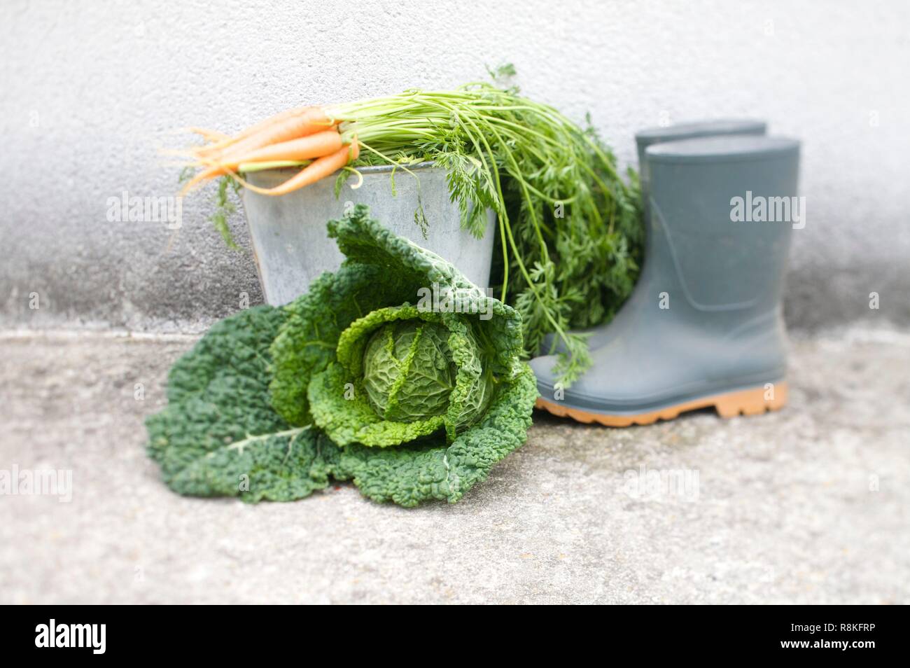 Organic vegetable garden, atmosphere Stock Photo