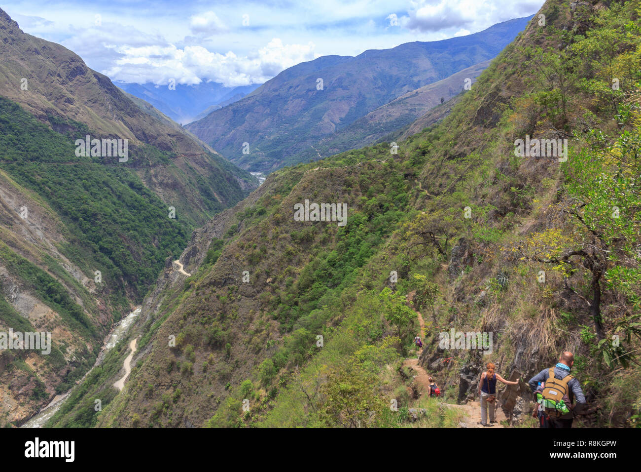 panoramic view over the lush rainforest on the inca trail, peru Stock ...