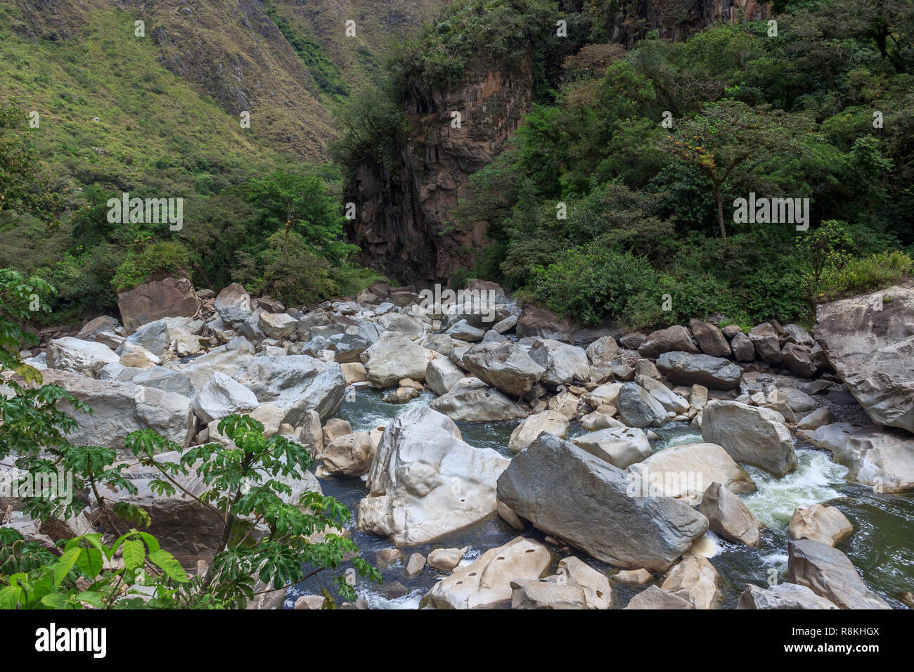panoramic view over the lush rainforest on the inca trail, peru Stock ...