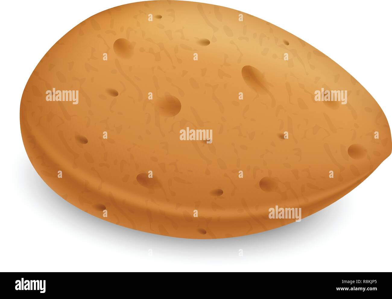 Almond kernel shell icon. Realistic illustration of almond kernel shell vector icon for web