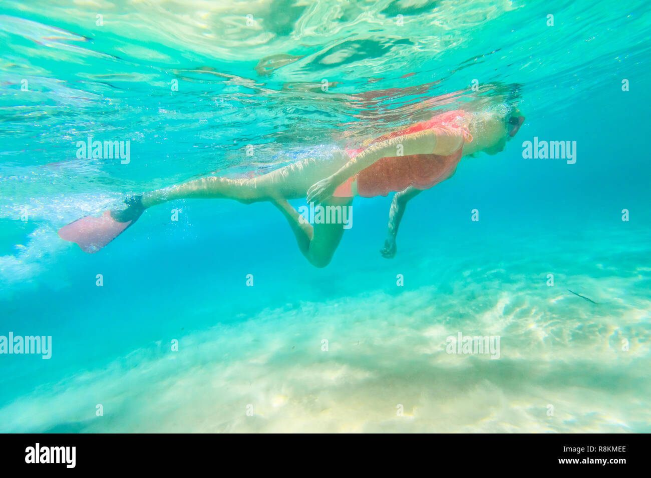 Snorkeler snorkeling hi-res stock photography and images - Alamy