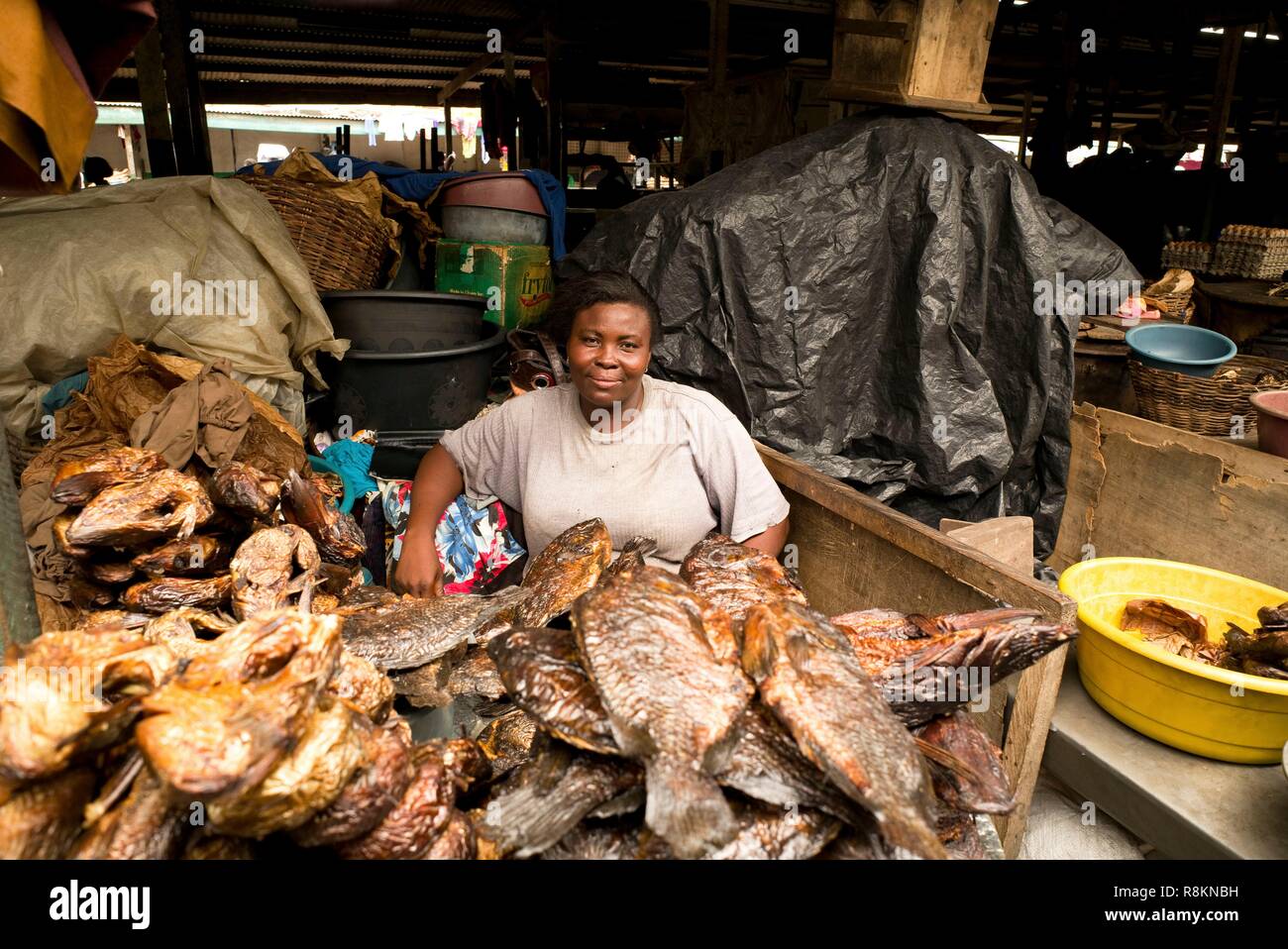 Ghana, Accra, fish farmer benefiting from micro-credit ID Ghana supported by the French NGO Entrepreneurs du Monde Stock Photo