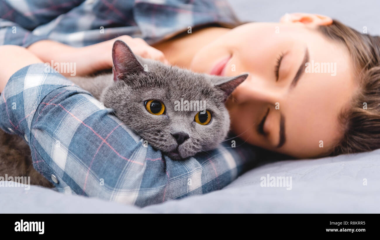 close-up view of girl sleeping on bed with british shorthair cat Stock ...