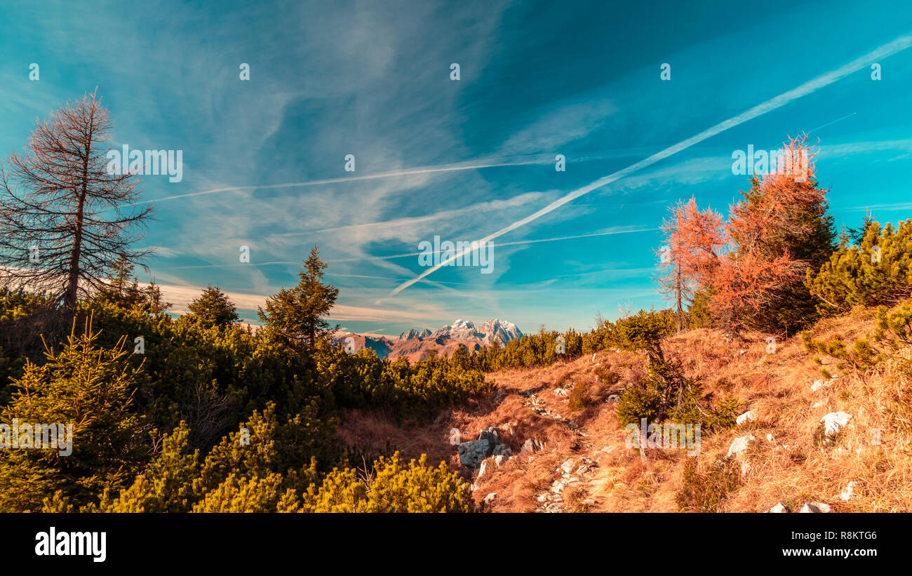 Sunny day in the carnic alps during a colorful autumn Stock Photo - Alamy