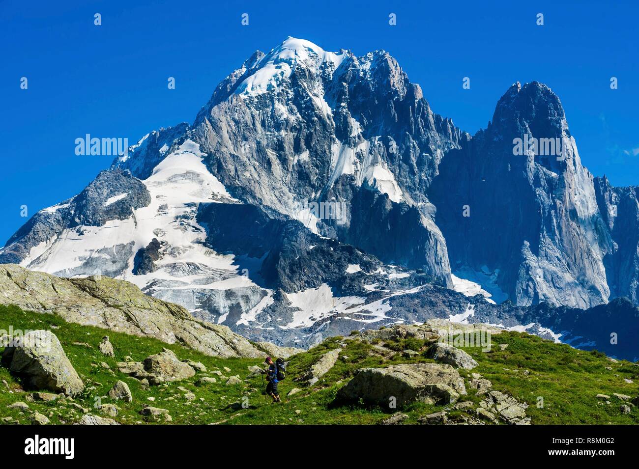 France, Haute-Savoie, Chamonix-Mont-Blanc, Tour du Mont Blanc, Aiguilles  Rouges range, Chéserys lake, with Aiguille Verte and les Drus in the back  Stock Photo - Alamy
