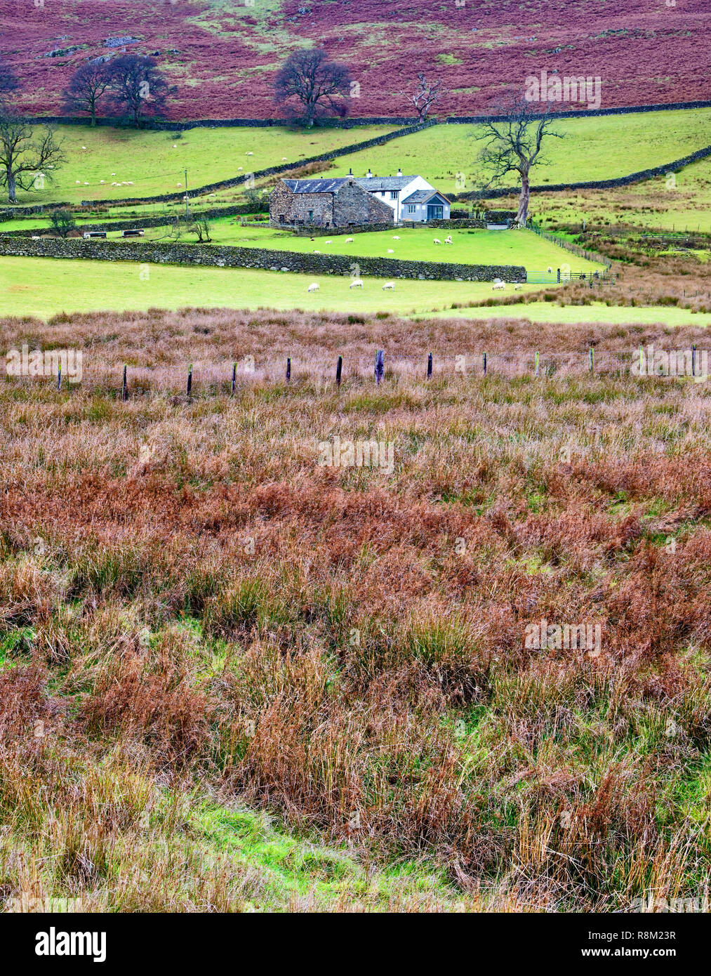 An autumn fall view of a remote farmhouse in the English Lake District. Stock Photo