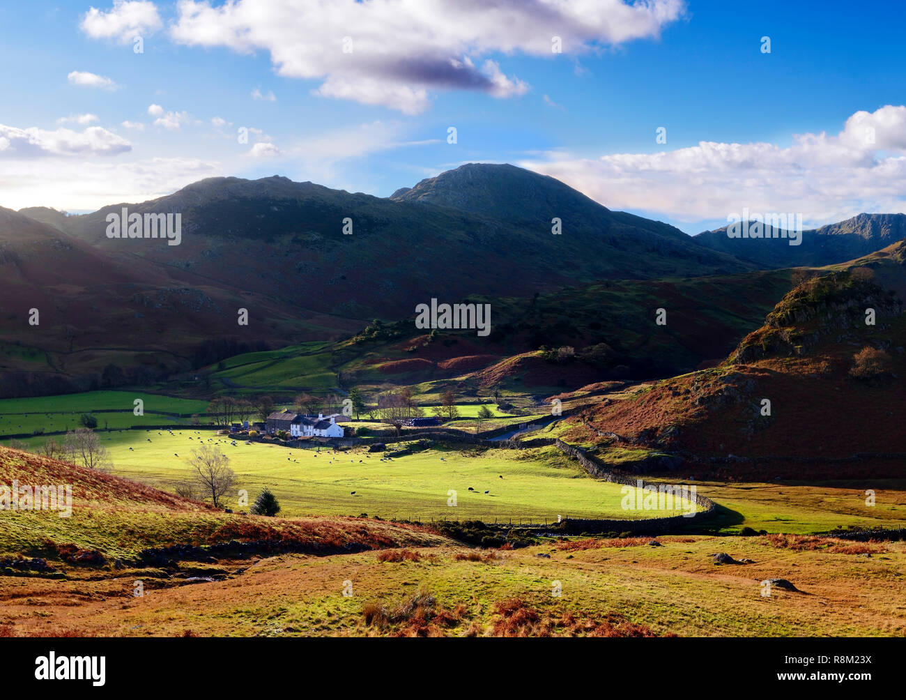 An autumn fall view of the Langdale Valley in the English Lake District. Stock Photo