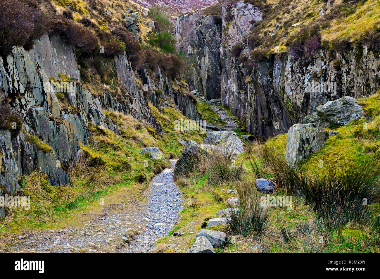 A view of a narrow winding footpath through the rugged landscape of the Snowdonia National Park. Stock Photo