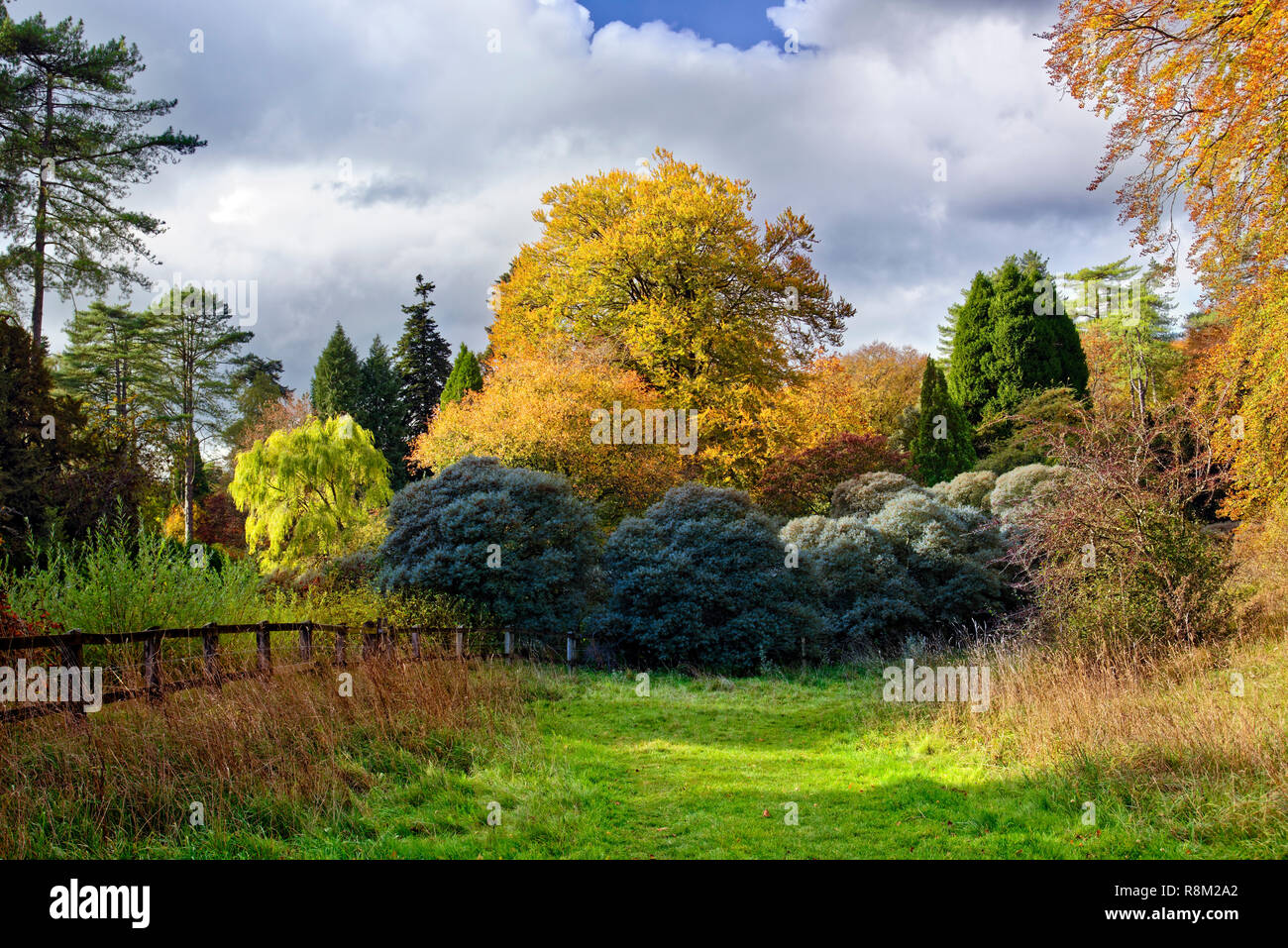 An autumn view of Westonbirt Arboretum in the Cotswolds, England. Stock Photo