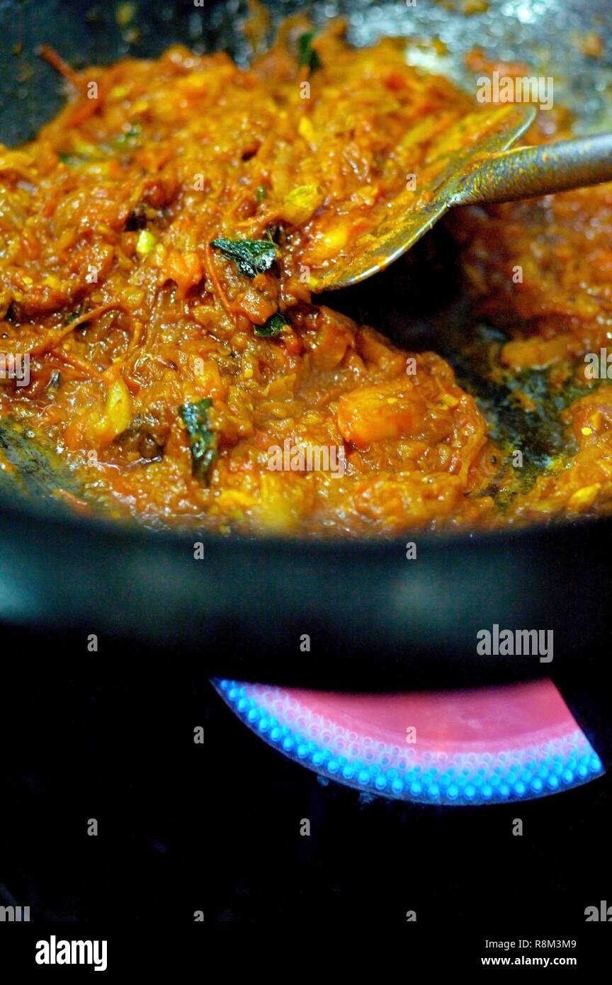 India, Kerala state, Thekkady, spices garden, preparing a kari Stock