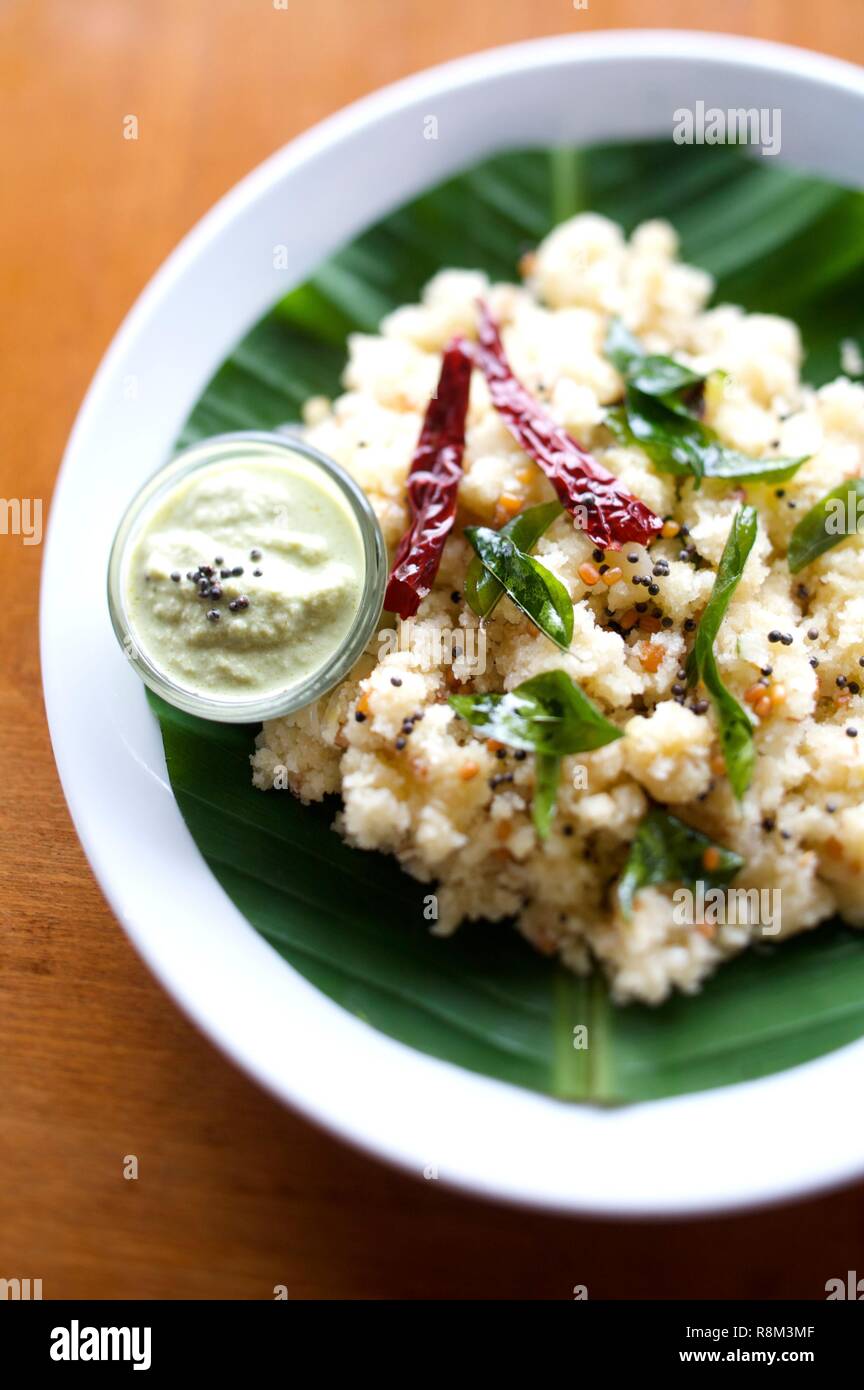 India, Kerala state, Thekkady, spices garden Stock Photo Alamy