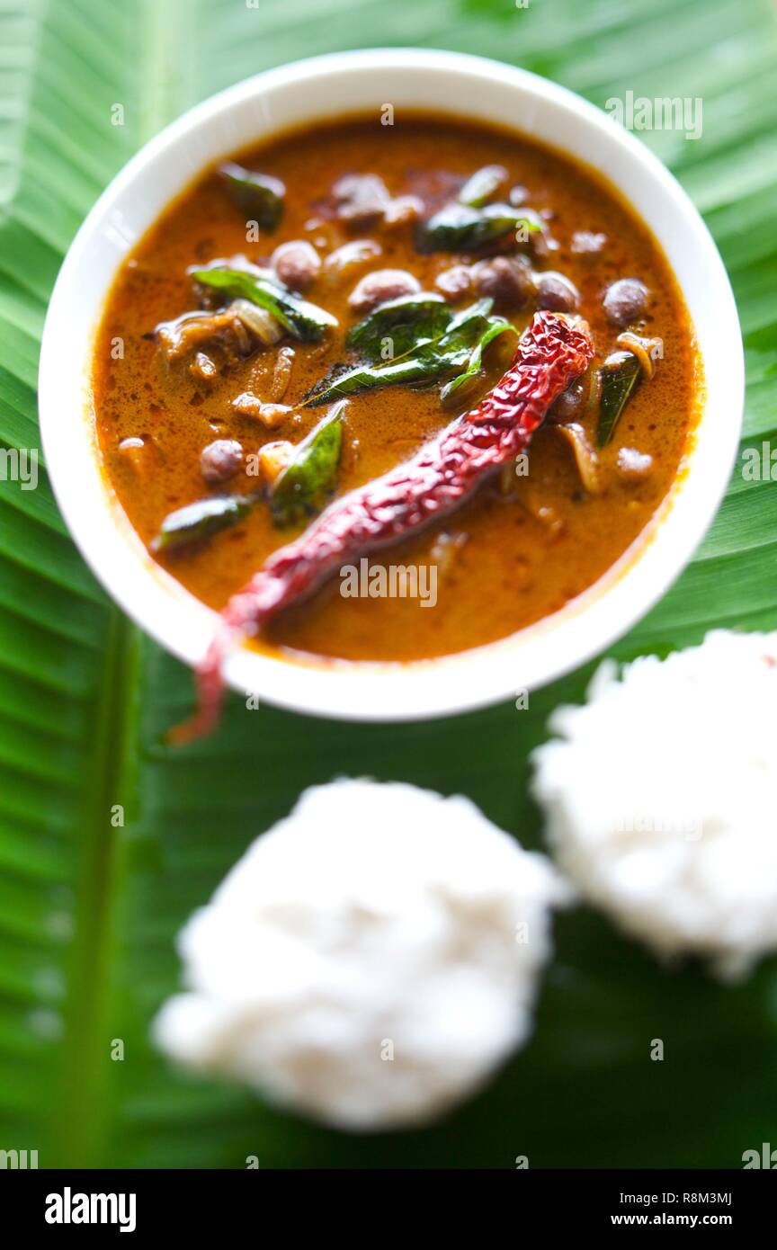 India, Kerala state, Thekkady, spices garden Stock Photo Alamy