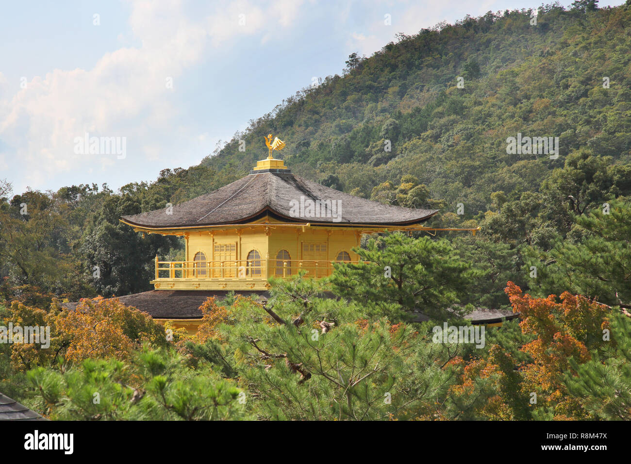 rokuon-ji or kinkaki-ji sometimes called the golden pavillion Kyoto Japan Stock Photo