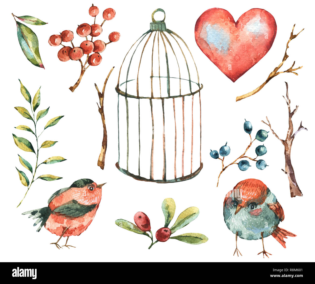 Cute Watercolor Natural Floral Set Of Birds Tree Twig Heart