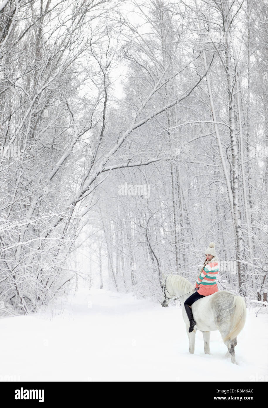Equestrian girl riding her white horse through snow at winter morning Stock Photo