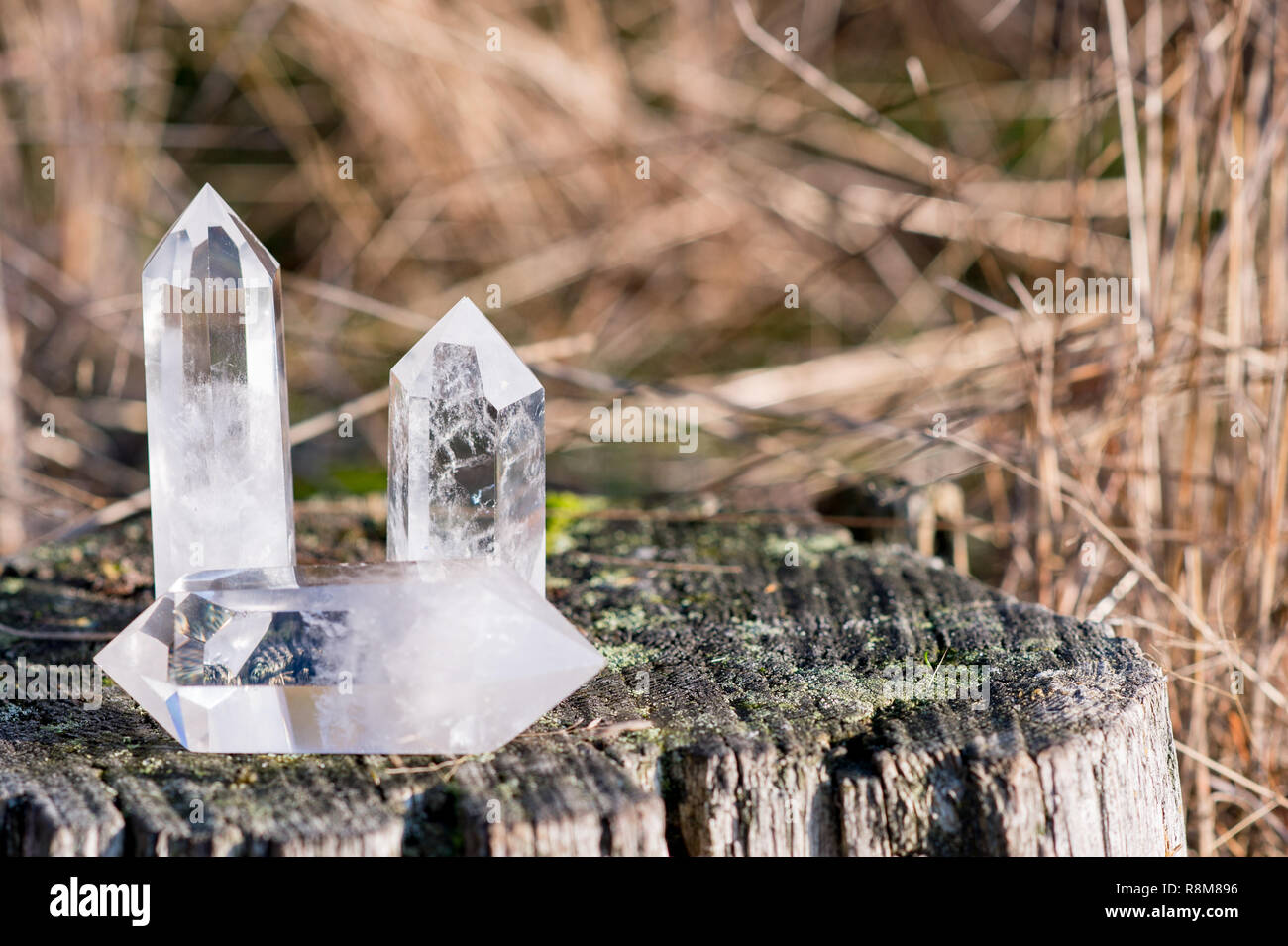 3 small clear quartz crystals laying on a tree with grass in the ...