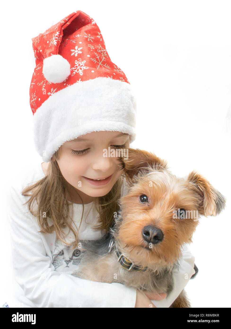 A cute little girl wearing a Santa hat, holding an adorable Yorkshire Terrier Puppy. Stock Photo