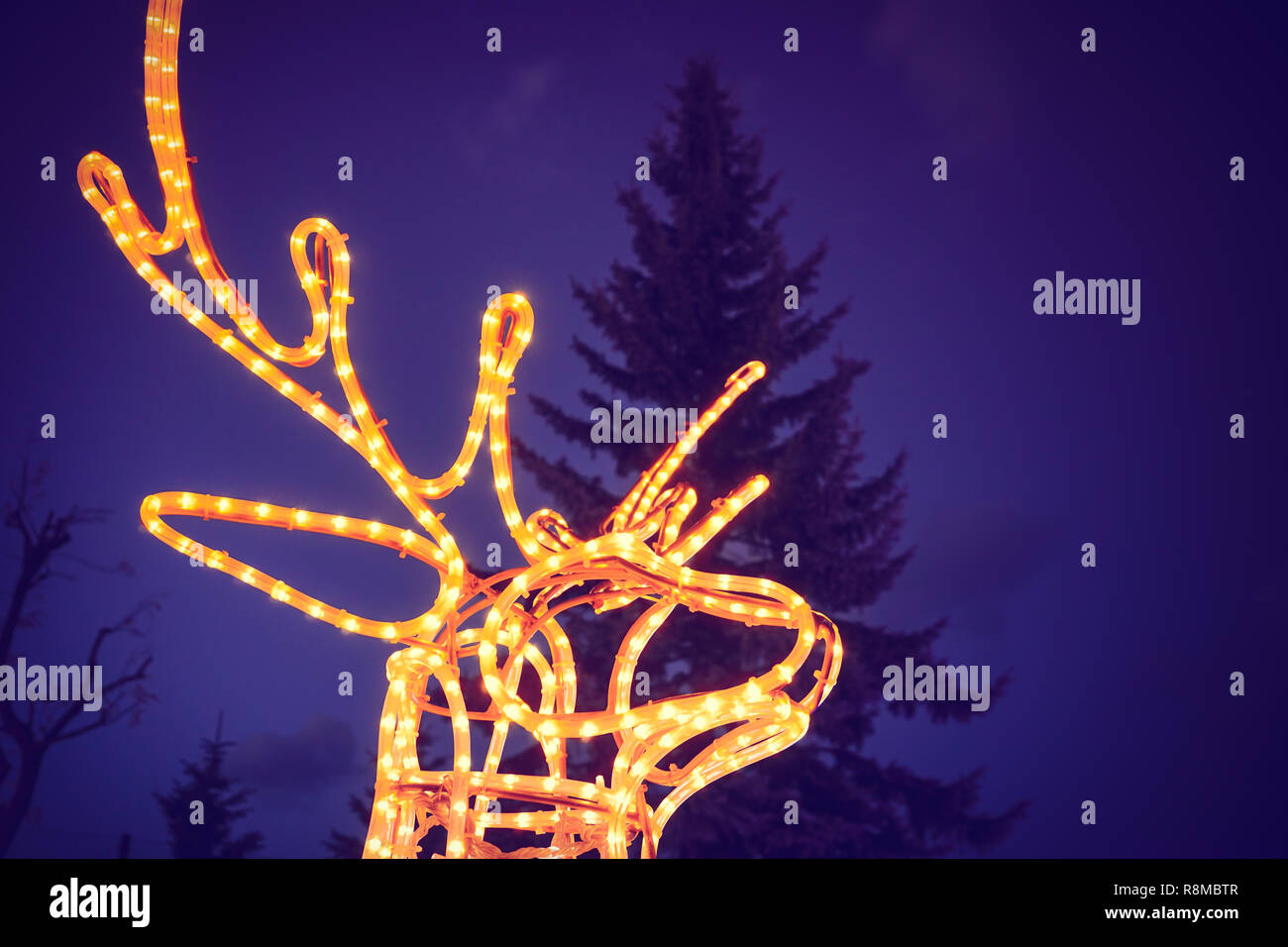 reindeer light bulb in Christmas day Stock Photo Alamy