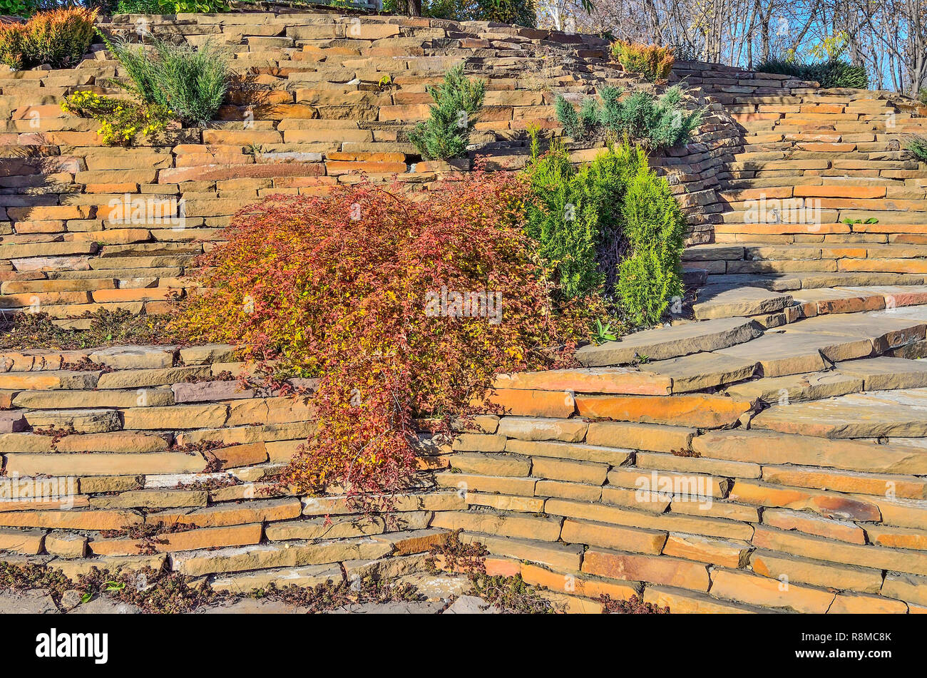 Colorful dwarf coniferous trees, bushes and flowers among stones in autumn rockery garden. Beautiful landscape design on slope of hill at sunny day Stock Photo