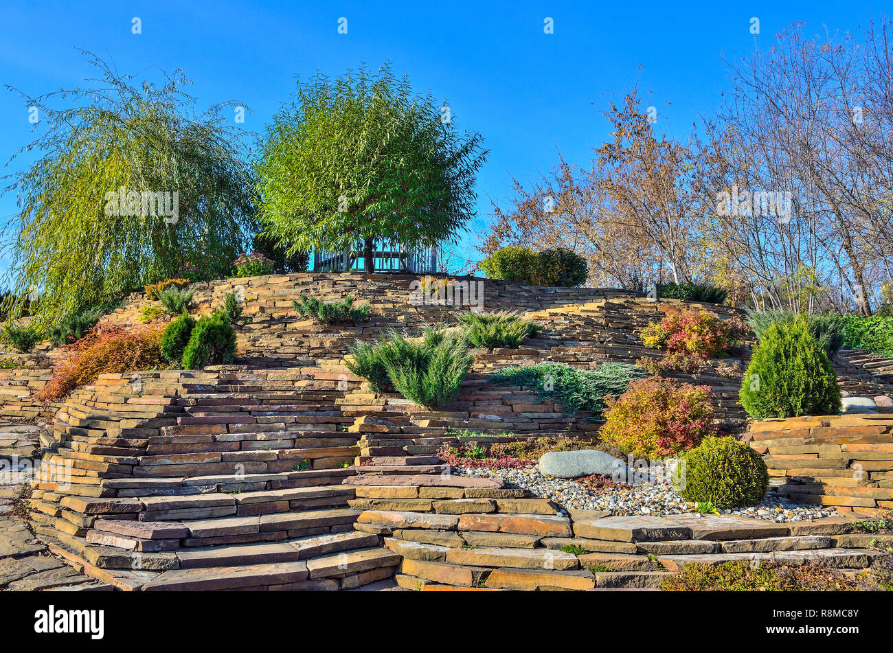 Colorful dwarf coniferous trees, bushes and flowers among stones in autumn rockery garden. Beautiful landscape design on slope of hill at sunny day Stock Photo