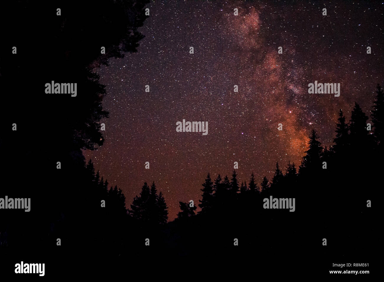 The Milky Way over a forest silhouette Stock Photo - Alamy