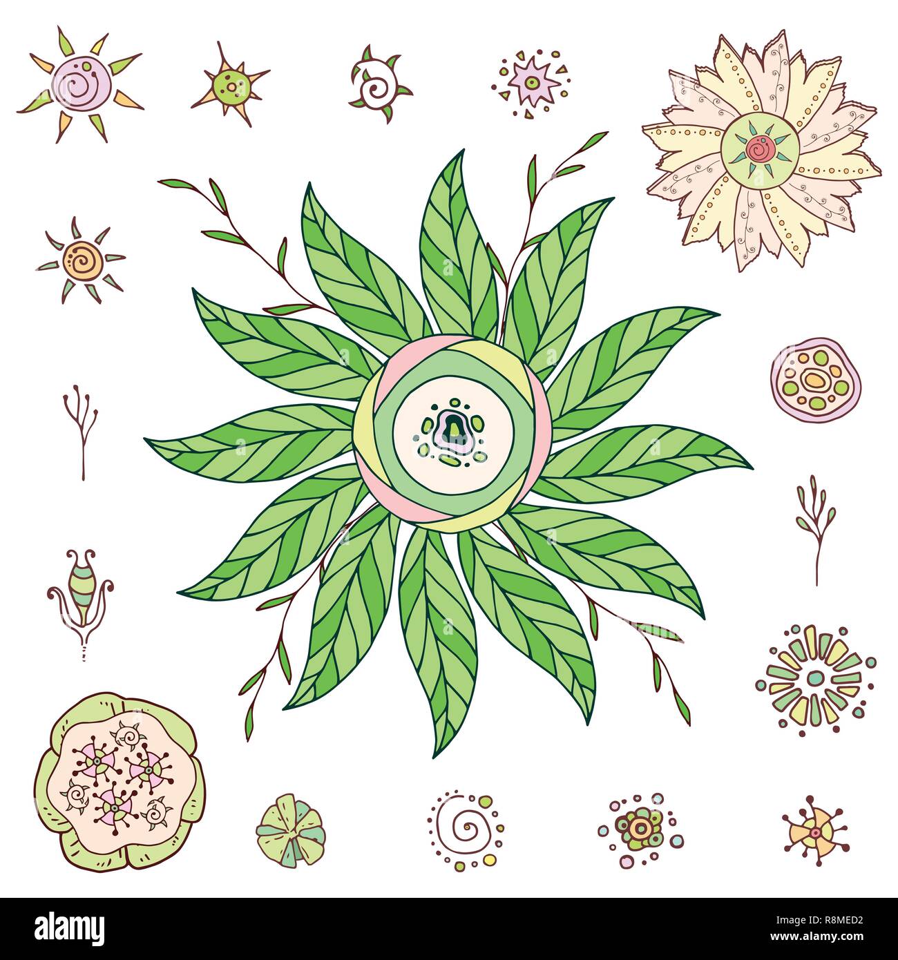 Set of hand drawn vector flowers and branches with leaves, flowers ...