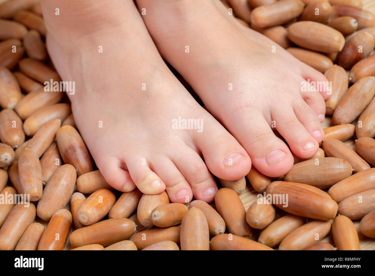 Hardening children. Walking through acorns. Foot massage. Stock Photo