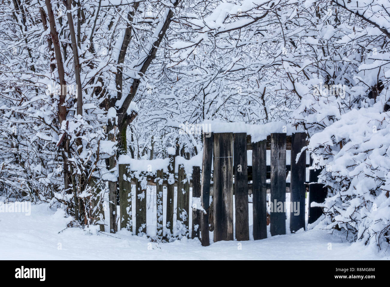 Sunny Winter Day Picture Free Photograph Photos Public
