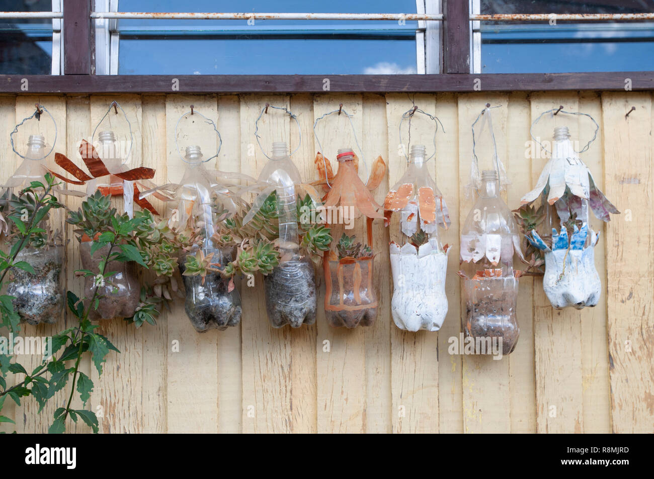 Philippines house garden hires stock photography and images Alamy