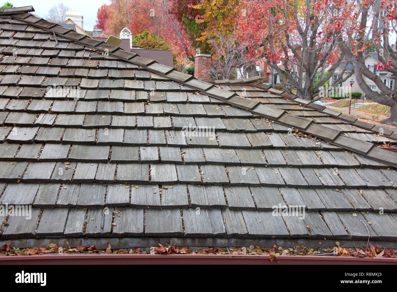 Wood shingle roof on house, rain gutters clogged with leaves, sticks