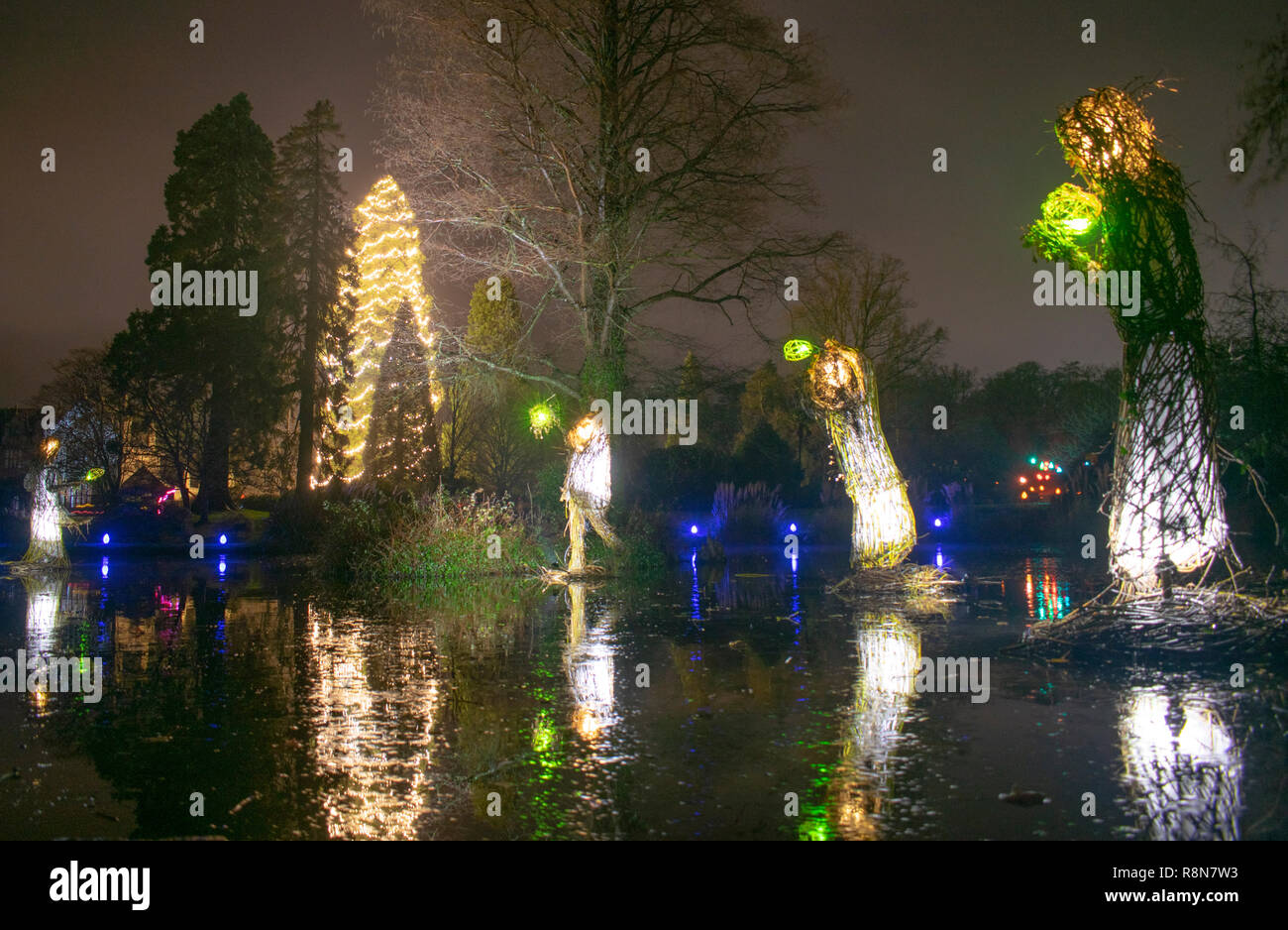 Wakehurst place christmas tree hires stock photography and images Alamy