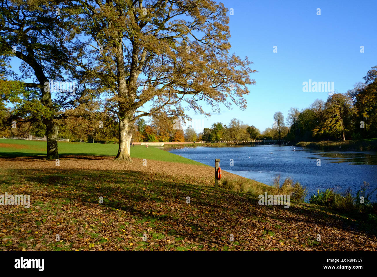 The Lake in Lydiard Park, Swindon Stock Photo