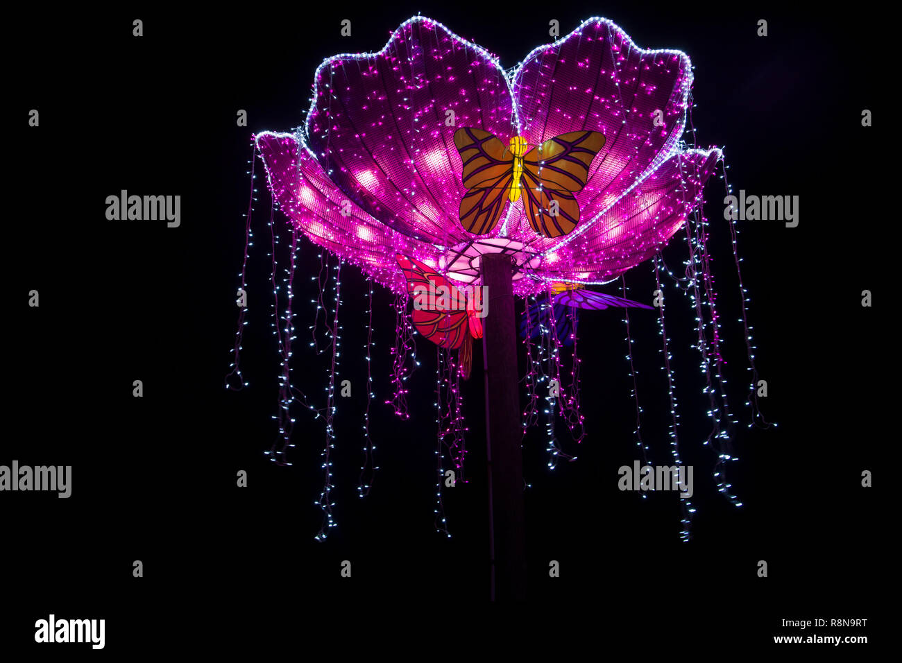 Illuminated Fantasy flower light objectat China Light Festival Stock Photo