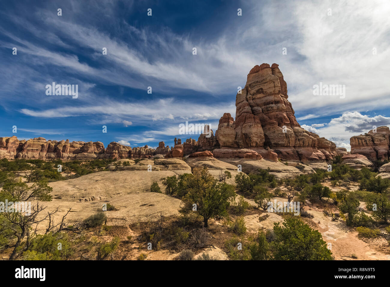 on the Chesler Park Loop Trail in the Needles District of Canyonlands National Park, Utah, October, USA Stock Photo
