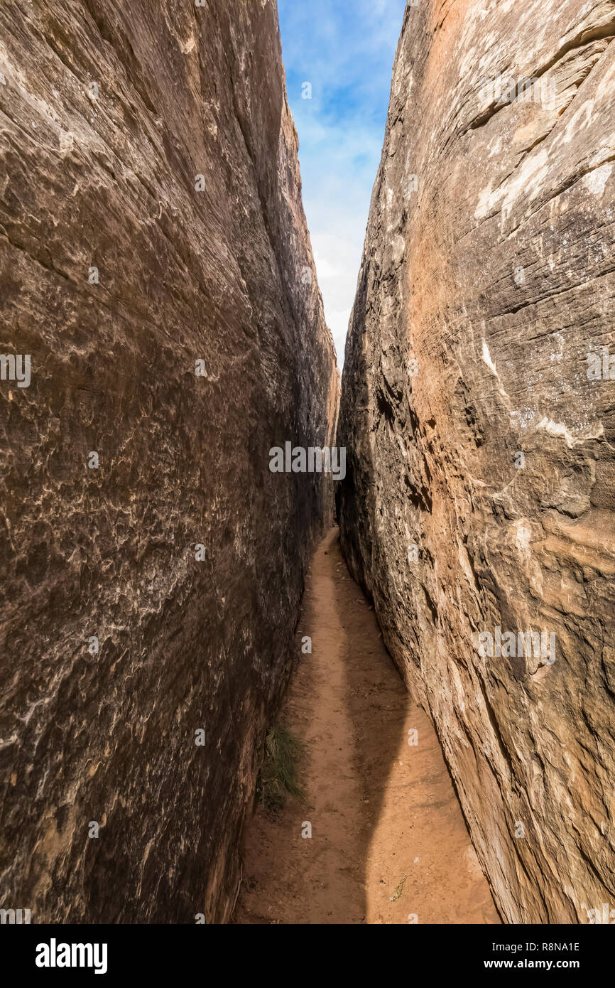 chesler park loop trail