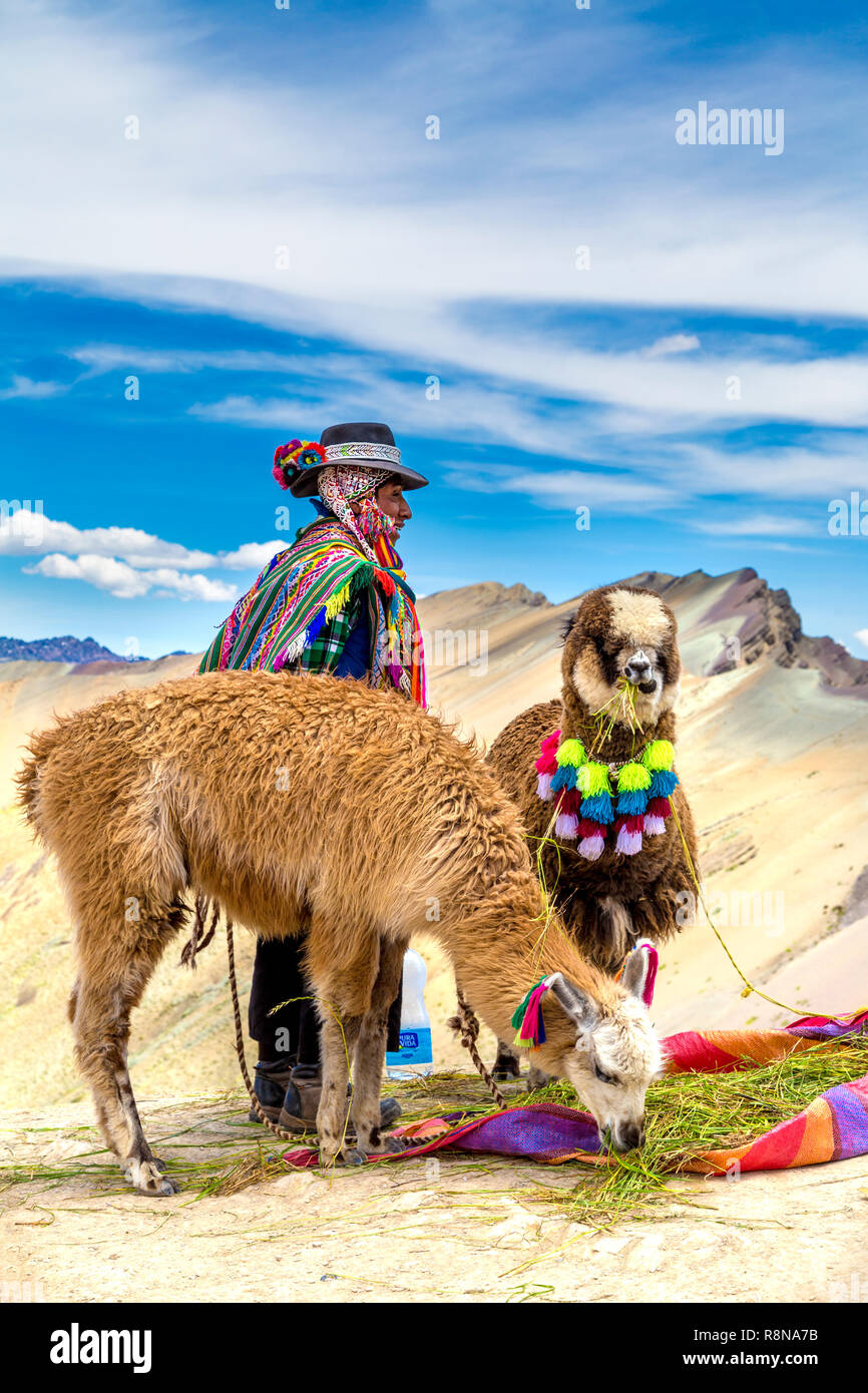 Peruvian man wearing traditional clothing with a llama and an alpaca on top of the Rainbow Mountain (Vinicunca) in the Andes mountains, Peru Stock Photo