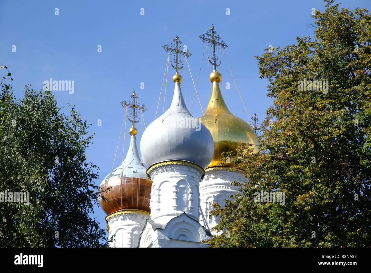 Russian church with golden cupolas looks through trees branches over clear blue sky Stock Photo