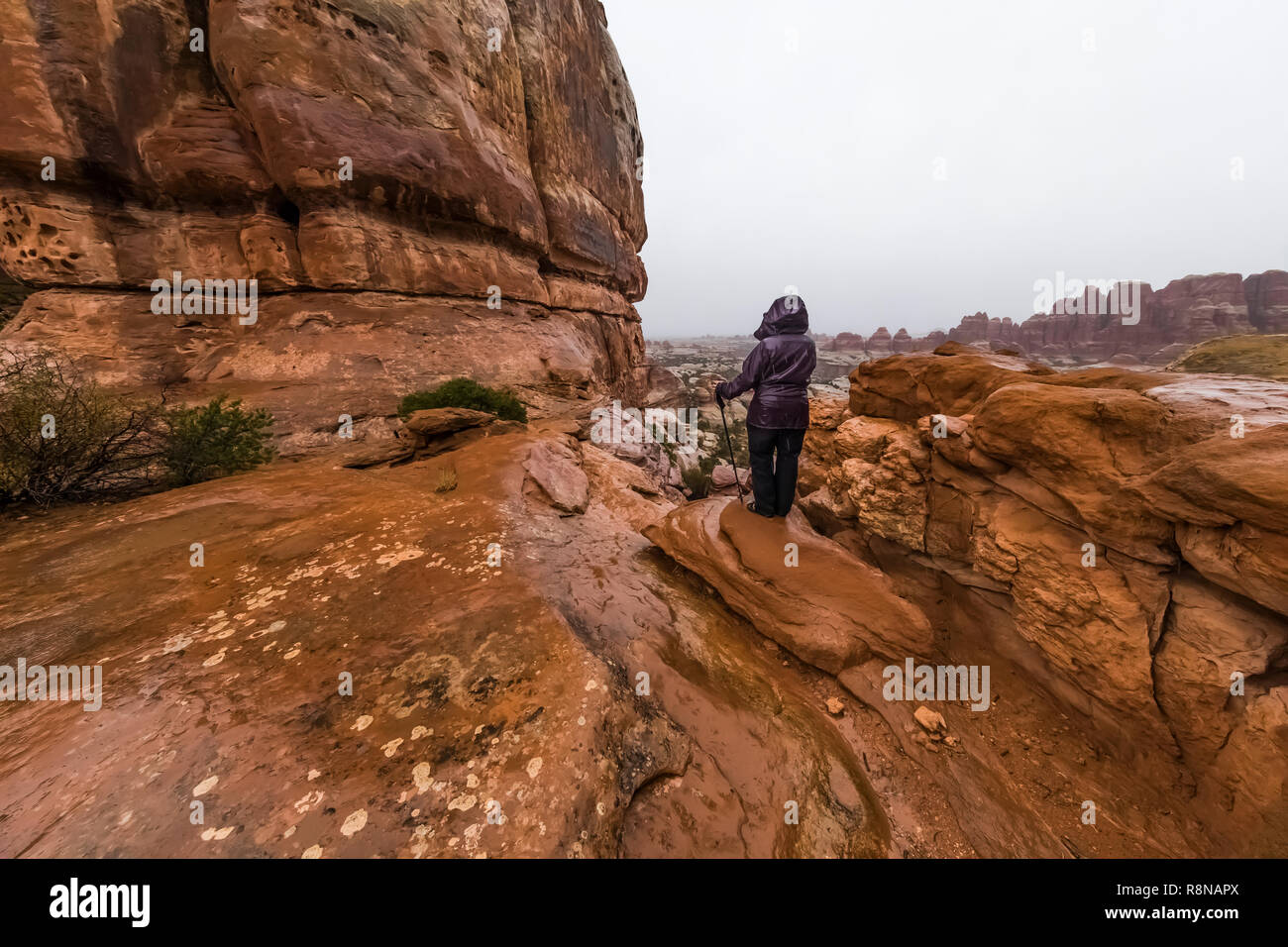 Karen Rentz on a really rainy morning along the Chesler Park Loop Trail ...