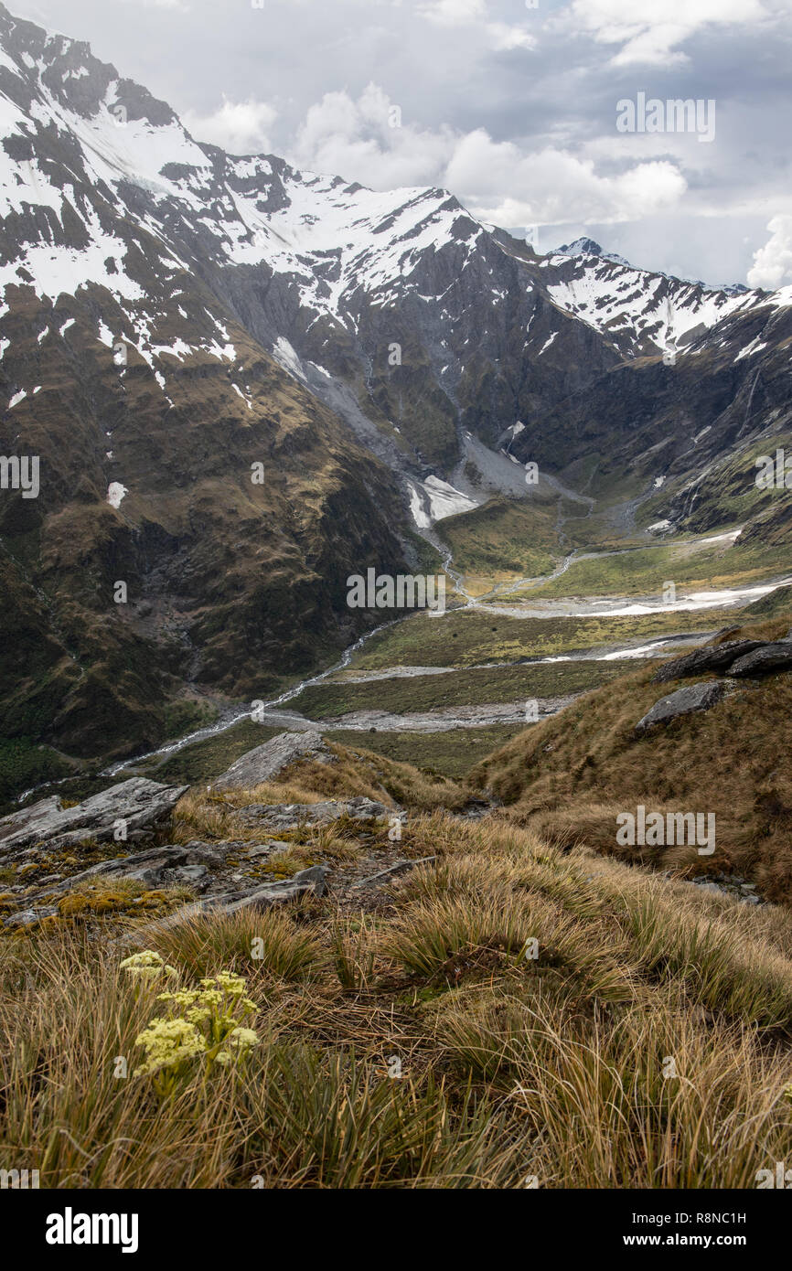 View from French Ridge, Mt Aspiring National Park, New Zealand Stock Photo
