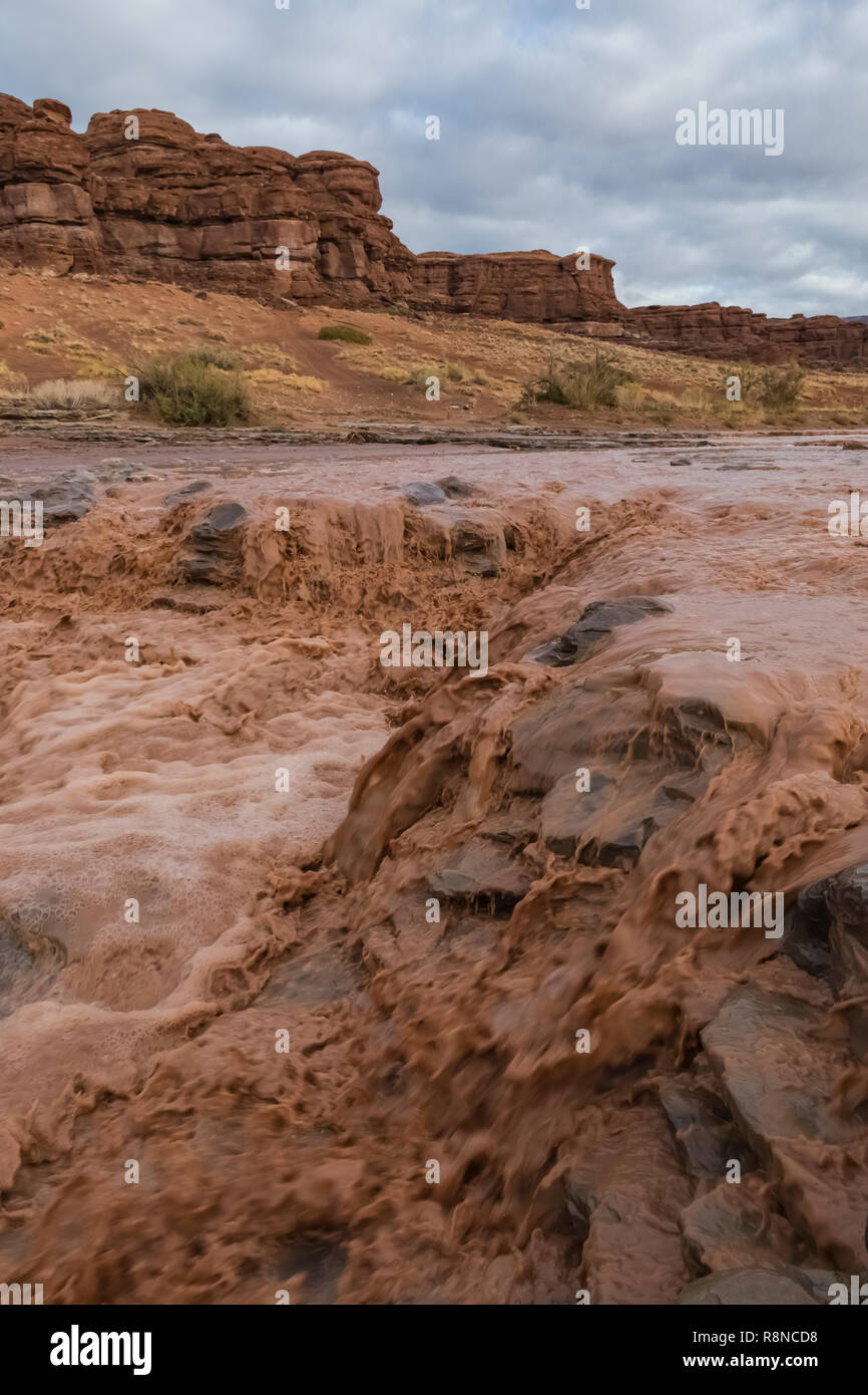 Blm vertical hires stock photography and images Alamy