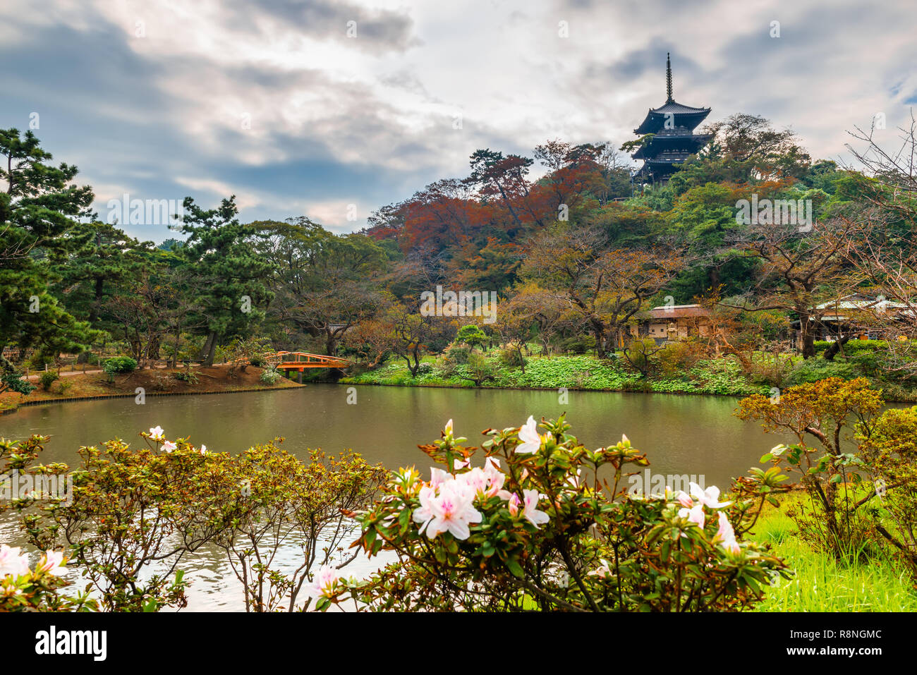 beautiful Sankeien garden with Tomyoji former three storied pagoda