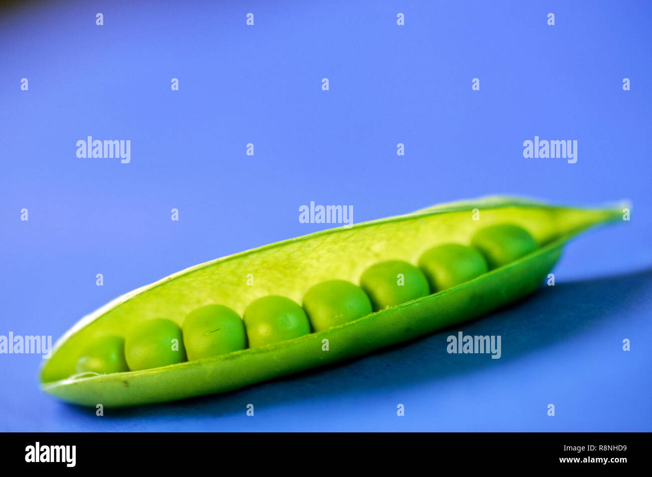green peas with pod, pisumsativum Stock Photo