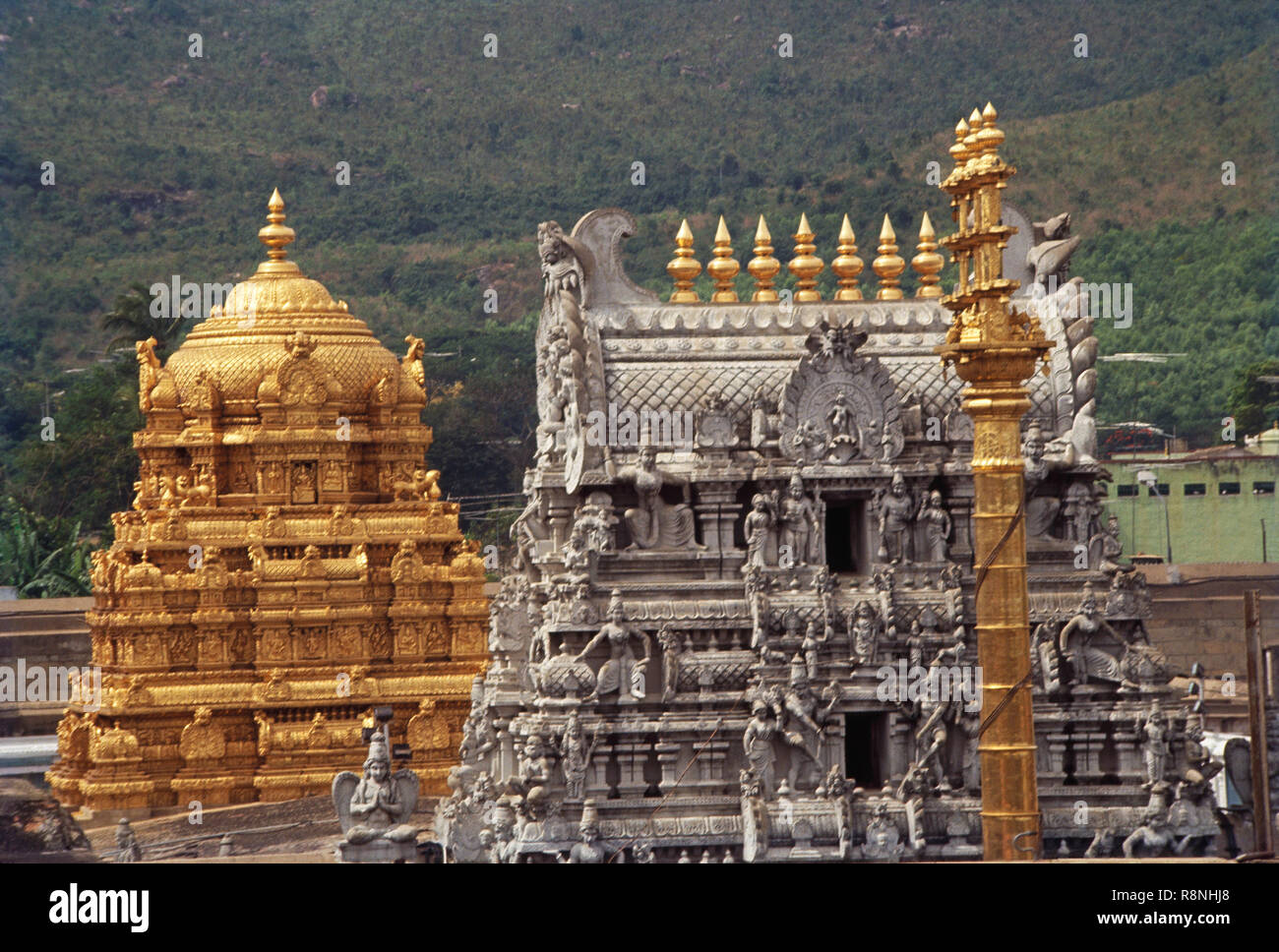 Tirupati Balaji Temple, Andhra Pradesh, india Stock Photo - Alamy